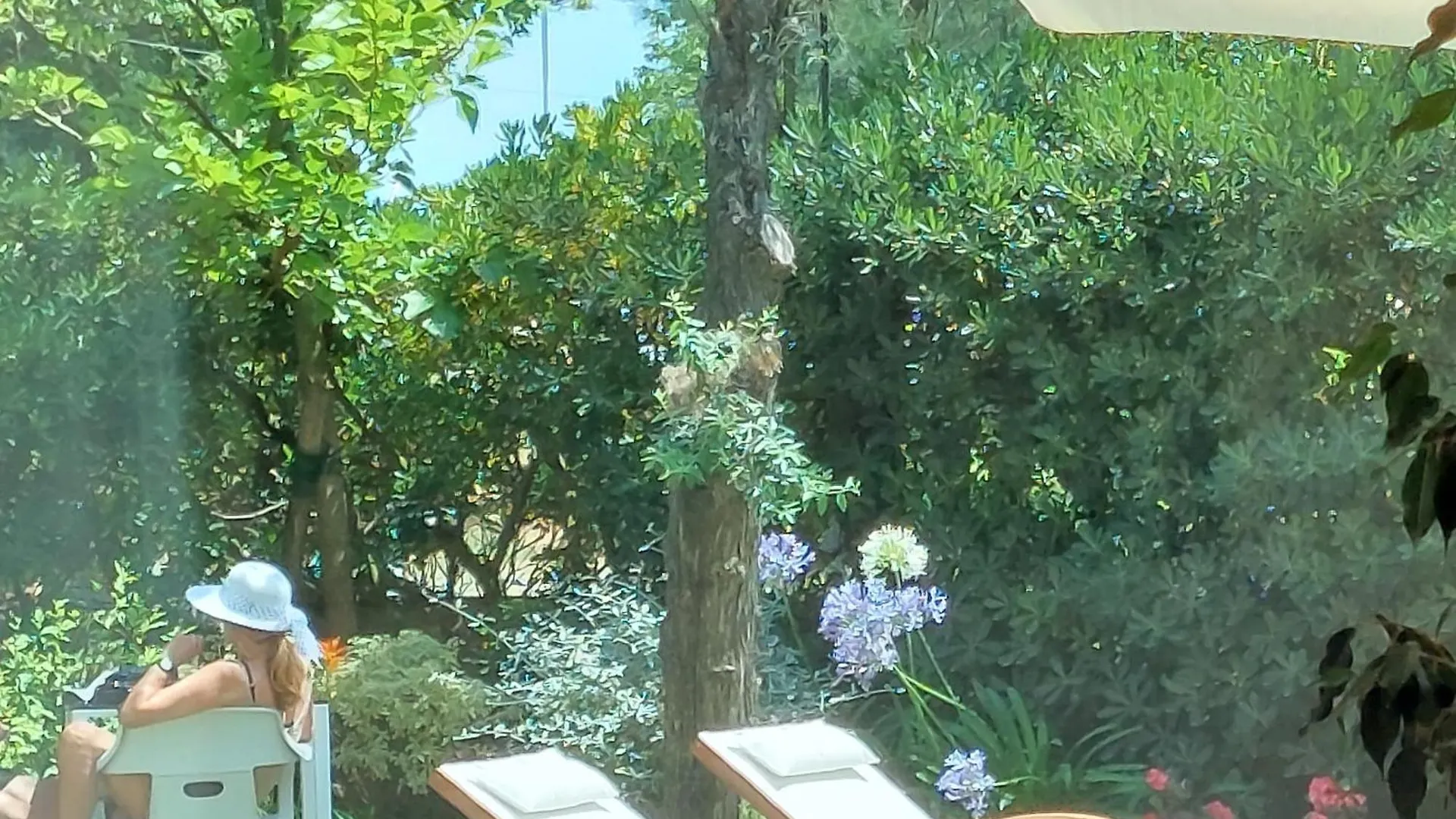 Hotel Astor B&B Lido di Classe